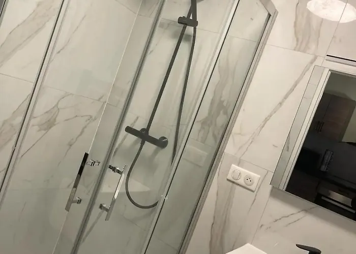 Apartament Le Charles Iii : Elegance Et Serenite Nancy